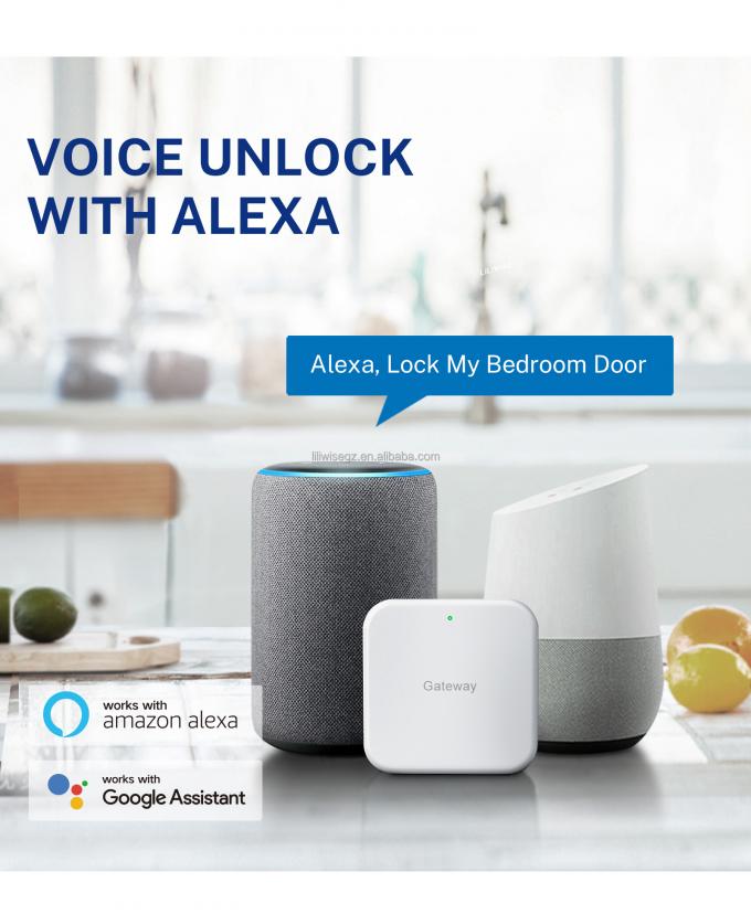 Tuya WiFi BLE Akıllı Parmak İzi ve Tuş Takımı ile Akıllı Kapı Kilidi 4