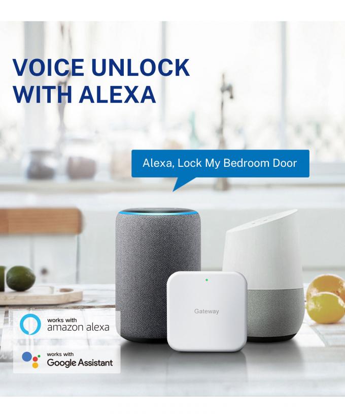 Liliwise G&uuml;venlik Dijital Kapı Zili Tuya Wifi Akıllı Parmak izi Kilitli Y&uuml;z Tanıma Kamera Kapı Kilitli Kontrol De Accesos 24