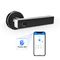Liliwise Biyometrik Parmak İzi Kapı Kilidi WiFi Bluetooth APP Yüksek Güvenlik