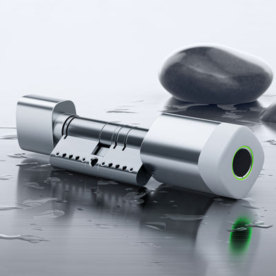 Liliwise Parmak İzi RFID Kart Su Geçirmez Kapı Kilidi Ayarlanabilir WiFi BLE Tuya Ttlock Akıllı Silindir Kilit, Eski Mekanik Kilidi Değiştirmek İçin