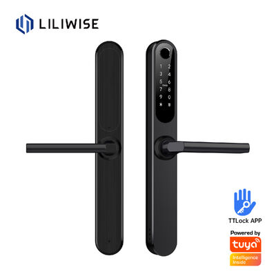Liliwise Su geçirmez Alexa Alüminyum Çelik Ip66 Akıllı Kapı Kilit Parmak izi Cerradura Electronica Ttlock Wifi ile Akıllı Kilitler