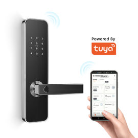 Elektronik Akıllı Kapı Kilitleri Güvenlik Tuya APP WiFi Ev CE FCC ROHS Için